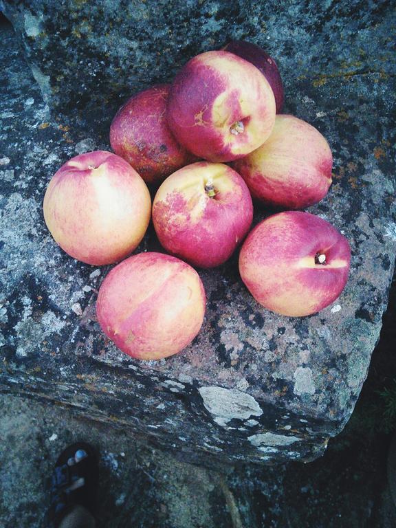 Herdade Do Azinhal ซานตา คลารา-อา-เวลญา ภายนอก รูปภาพ